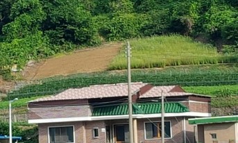 갤러리